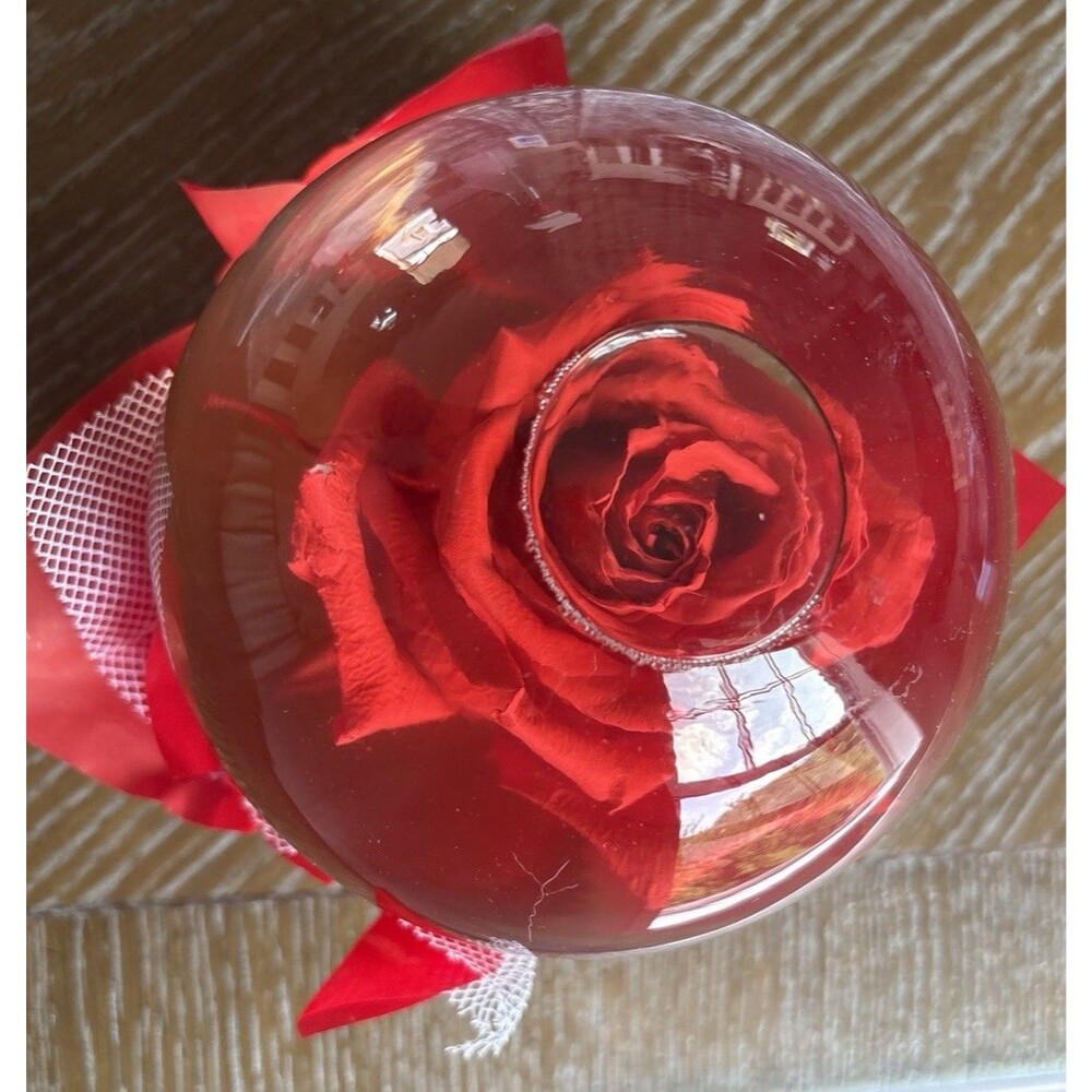 Vintage Forever Red Rose In Glass Ball Clear Water Dome Globe Large 6.5" - Picture 2 of 6